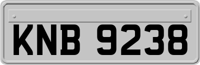 KNB9238