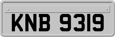 KNB9319