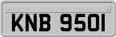 KNB9501