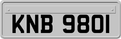 KNB9801