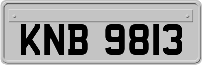 KNB9813