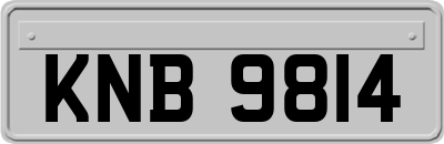 KNB9814