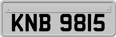 KNB9815