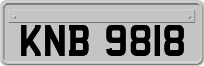 KNB9818
