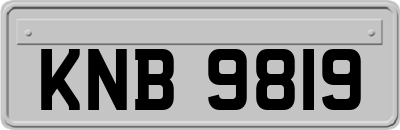 KNB9819