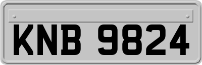 KNB9824