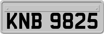 KNB9825