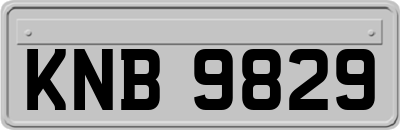 KNB9829