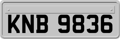 KNB9836