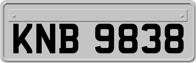 KNB9838