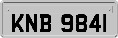 KNB9841