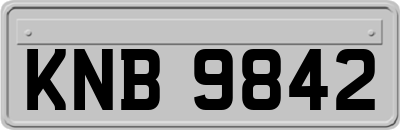 KNB9842