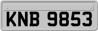 KNB9853