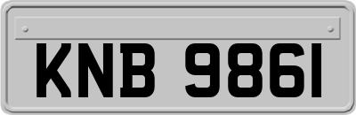 KNB9861