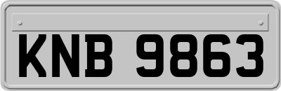 KNB9863