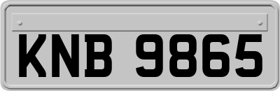 KNB9865