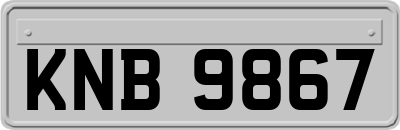 KNB9867