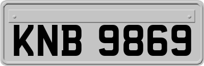 KNB9869