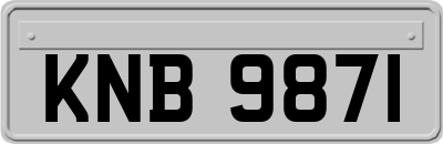 KNB9871