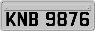 KNB9876