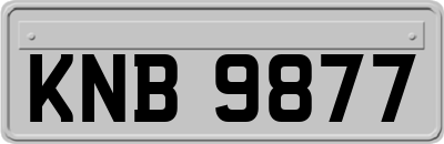 KNB9877