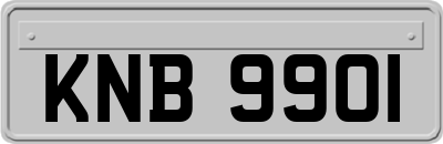 KNB9901