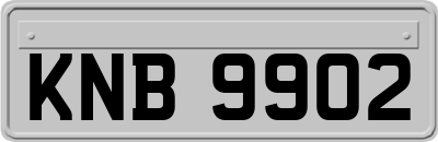 KNB9902