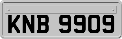 KNB9909