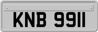 KNB9911