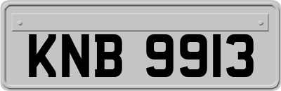 KNB9913