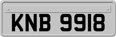 KNB9918