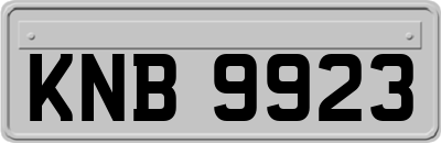 KNB9923