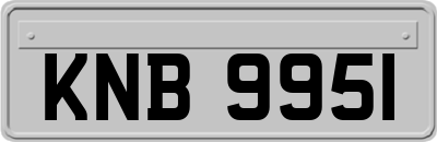 KNB9951