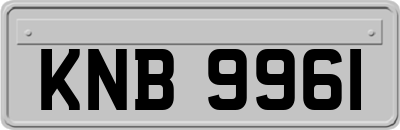 KNB9961