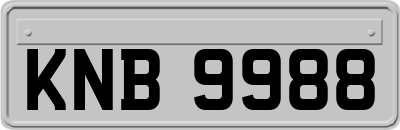 KNB9988