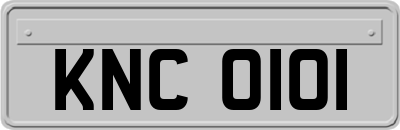 KNC0101