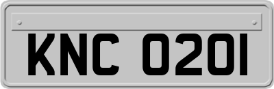 KNC0201