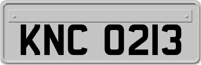 KNC0213