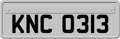 KNC0313