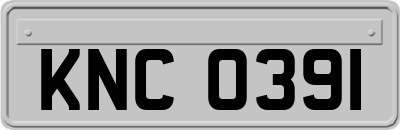 KNC0391