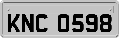 KNC0598