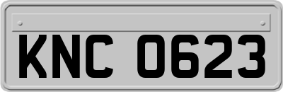 KNC0623