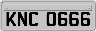 KNC0666