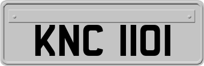 KNC1101