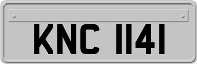 KNC1141