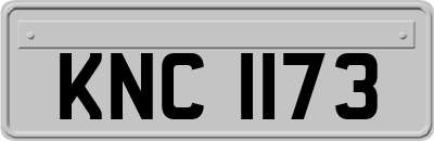 KNC1173