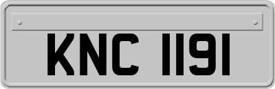 KNC1191