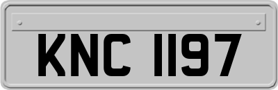 KNC1197