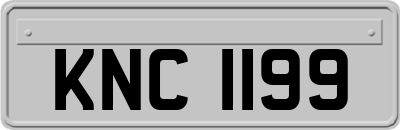 KNC1199