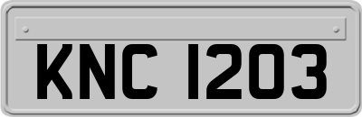 KNC1203